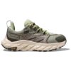 Anacapa Low GORE-TEX «Barley Seed Green»