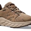 Anacapa Low GORE-TEX «Dune Oxford Tan»
