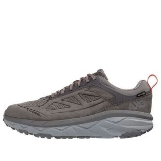 Challenger Low Gore-Tex «Kullgrå Fiesta»