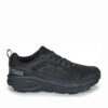 Challenger Low Gore-Tex «Svart»