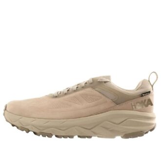 Challenger Low GTX «Beige»