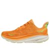 Clifton 9 2E bred ‘Solar Flare salat’