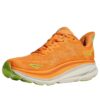 Clifton 9 2E bred ‘Solar Flare salat’