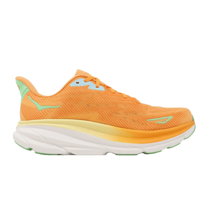 Clifton 9 2E bred ‘Solar Flare Sherbet’