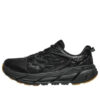 Clifton L ‘Black Gum’