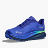 HOKA HOKA ONE ONE Elaro Knit Tight 27″