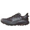 Speedgoat 6 GTX «Black Outer Orbit»