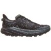Speedgoat 6 GTX «Black Outer Orbit»