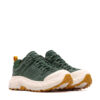 Tor Ultra Low GORE-TEX «Mountain View»