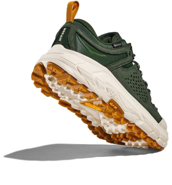 Tor Ultra Low GORE-TEX «Mountain View»