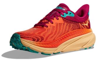 (WMNS) Challenger ATR 7 «Flame Cherries Jubilee»