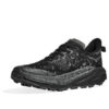 (WMNS) Speedgoat 6 GTX Wide «Black Outer Orbit»